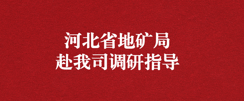 河北省地礦局黨組書(shū)記盧瑞卿赴天晟源環(huán)保調(diào)研指導(dǎo)