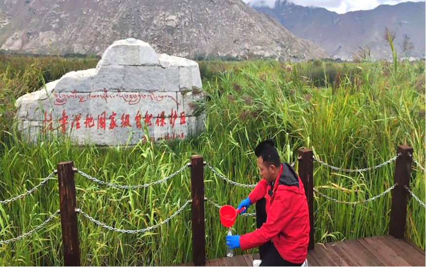 西藏自治區(qū)科技廳自然基金項(xiàng)目“拉魯濕地水質(zhì)凈化功能研究”水質(zhì)監(jiān)測(cè)